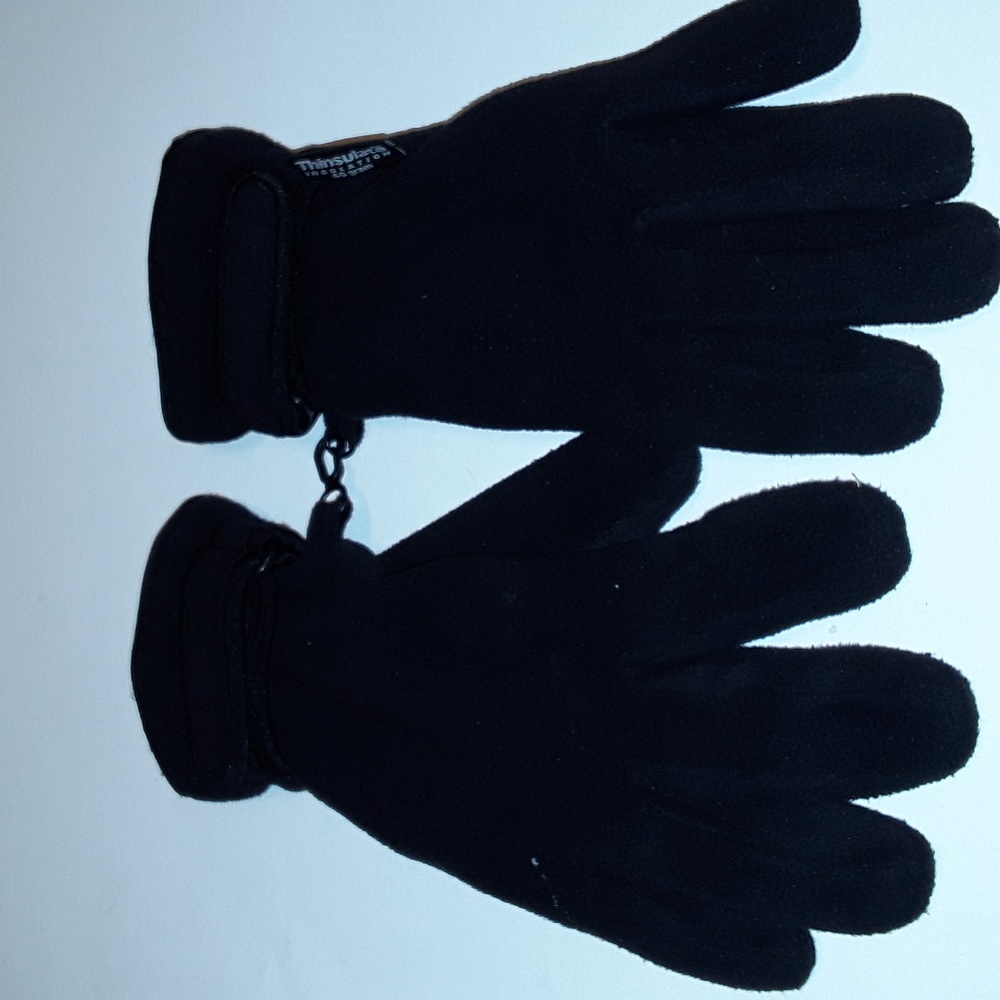 Thinsulate Insulation Gloves 40 gram (2 for $15)